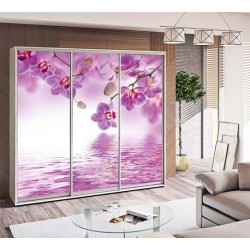 Шкаф-купе "Фотопечать на стекле" 2,2м